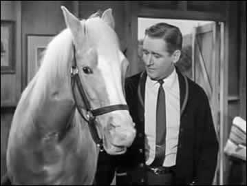 Bamboo Harvestor and Alan Young